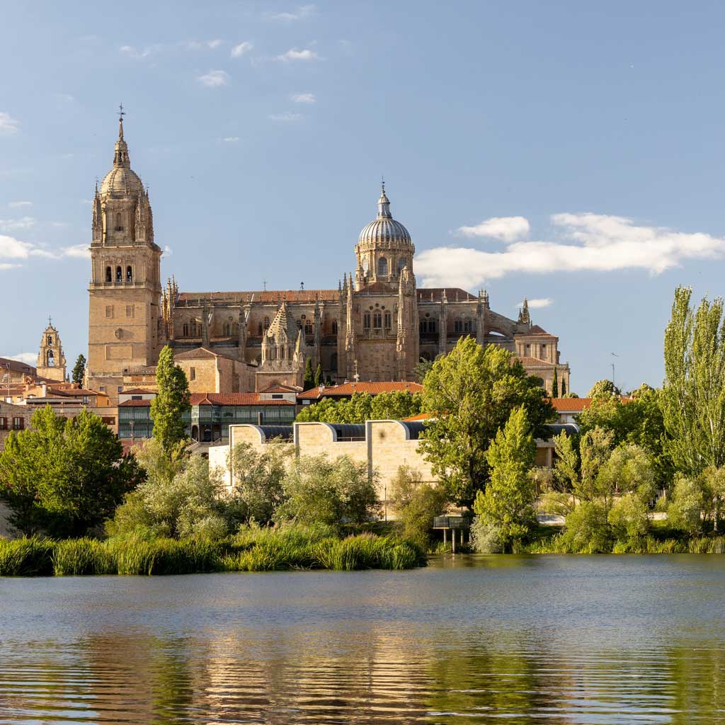 Visite guidée de Salamanque en français Madrid Discovery